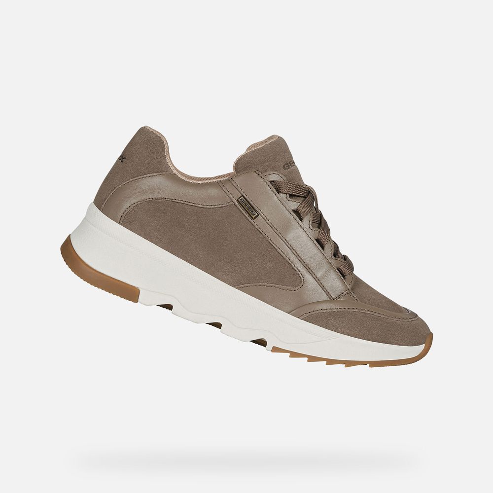 Geox Bayan Spor Ayakkabı Koyu Bej Rengi - Falena Abx - CAZ-856491